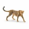 Schleich Cheetah Female - 14746 - Collectible