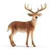 Schleich White-Tailed Buck 14818 - Animals & Other Figures