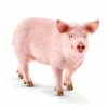 Schleich Pig - 13782 - Collectible