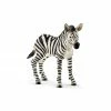 Schleich Zebra Foal - 14811 - Collectible